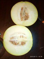 IMG-20190817-WA0017.jpg