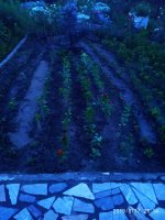 IMG-20190817-WA0020.jpg