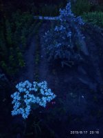 IMG-20190817-WA0019.jpg