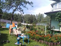 IMG_20190818_144135.jpg