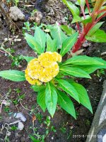 IMG-20190818-WA0018.jpg