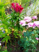 IMG-20190818-WA0016.jpg