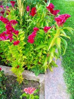 IMG-20190818-WA0014.jpg