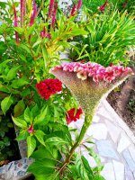 IMG-20190818-WA0012.jpg