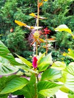 IMG-20190818-WA0029.jpg