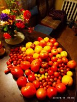 IMG-20190819-WA0009.jpg