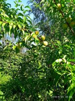 IMG-20190820-WA0014.jpg