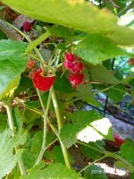IMG-20190820-WA0056.jpg