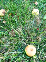 IMG-20190820-WA0058.jpg