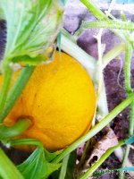 IMG-20190820-WA0007.jpg