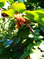IMG-20190820-WA0038.jpg