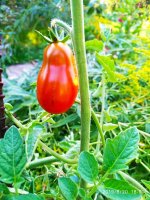 IMG-20190820-WA0049.jpg