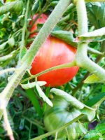 IMG-20190820-WA0041.jpg
