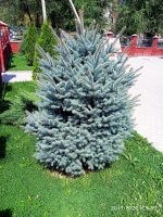 IMG-20190820-WA0013.jpg