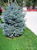 IMG-20190820-WA0012.jpg