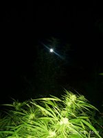 IMG-20190821-WA0002.jpg