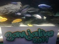 IMG_20190821_192935_1.jpg