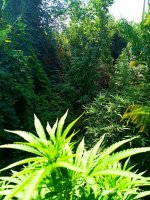 IMG-20190823-WA0009.jpg