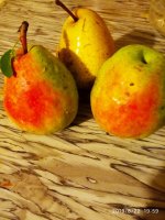 IMG-20190822-WA0002.jpg