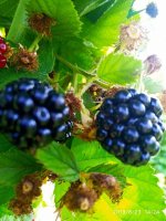 IMG-20190823-WA0020.jpg