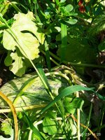 IMG-20190823-WA0022.jpg
