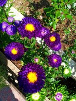 IMG-20190823-WA0034.jpg