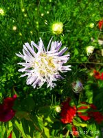 IMG-20190823-WA0033.jpg