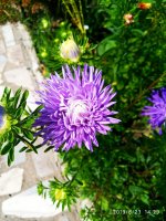 IMG-20190823-WA0032.jpg