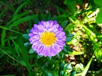 IMG-20190823-WA0030.jpg