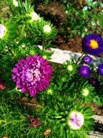 IMG-20190823-WA0029.jpg