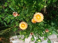 IMG-20190823-WA0026.jpg
