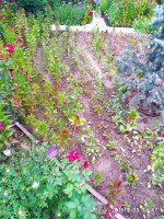 IMG-20190823-WA0039.jpg