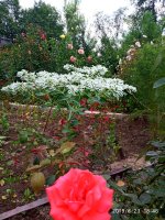 IMG-20190823-WA0035.jpg