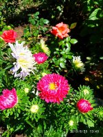 IMG-20190825-WA0005.jpg IMG-20190825-WA0005.jpg