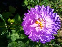 IMG-20190825-WA0000.jpg IMG-20190825-WA0000.jpg