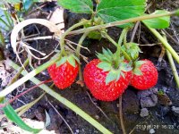IMG-20190826-WA0022.jpg IMG-20190826-WA0022.jpg