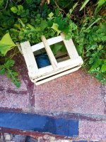 IMG-20190826-WA0041.jpg IMG-20190826-WA0041.jpg