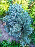 IMG-20190827-WA0002.jpg IMG-20190827-WA0002.jpg