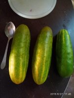 IMG-20190827-WA0001.jpg IMG-20190827-WA0001.jpg
