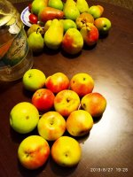 IMG-20190827-WA0019.jpg