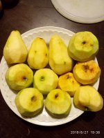 IMG-20190827-WA0004.jpg