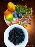 IMG-20190827-WA0022.jpg