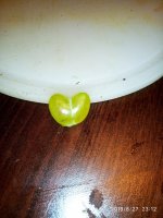 IMG-20190827-WA0024.jpg