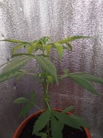 20190828_064231.jpg