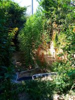 IMG-20190829-WA0004.jpg