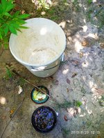IMG-20190829-WA0017.jpg