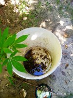 IMG-20190829-WA0016.jpg
