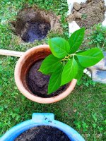 IMG-20190829-WA0029.jpg