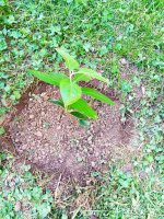IMG-20190829-WA0026.jpg