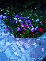 IMG-20190829-WA0034.jpg